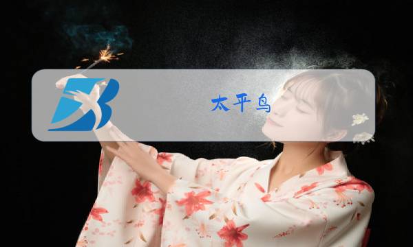 太平鸟 09 女装 冬款图片